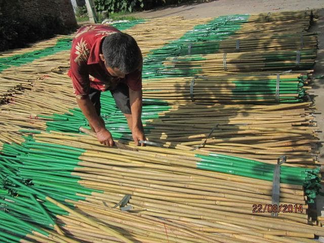 Natural Bamboo Poles_Canes_ Use Them For Fencing_ Tiki Huts_ Decks And Railings Or More